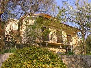 Casa No.61