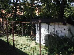 Hundehütte