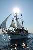 Croatian cruises – motor sailer M/S Vila