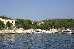 Goli otok