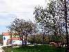 Villa vacanze con piscina nel paese di Kunj - Labin / Istria
