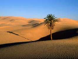 Die Sahara in Algerien